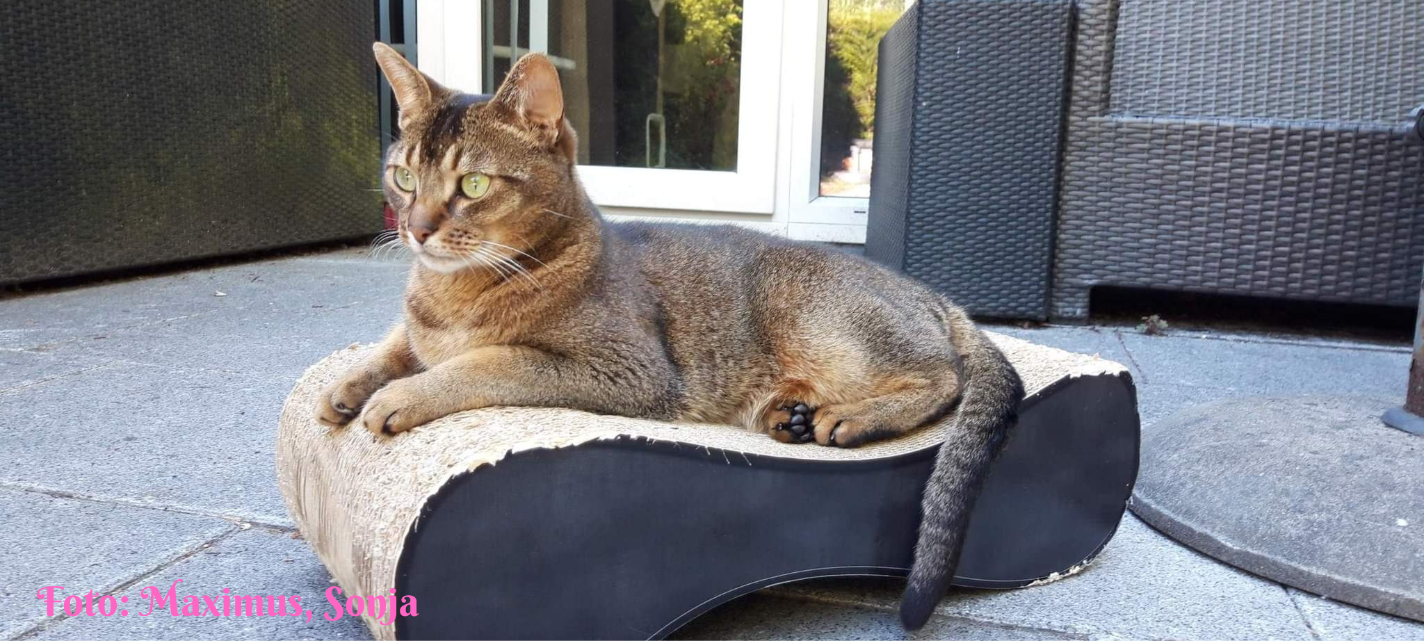 Foto-Maximus-Sonja-1