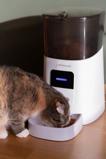 free-photo-of-cat-eating-from-automatic-feeder free-photo-of-cat-eating-from-automatic-feeder
